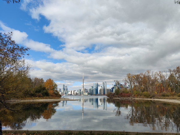 the toronto skyline